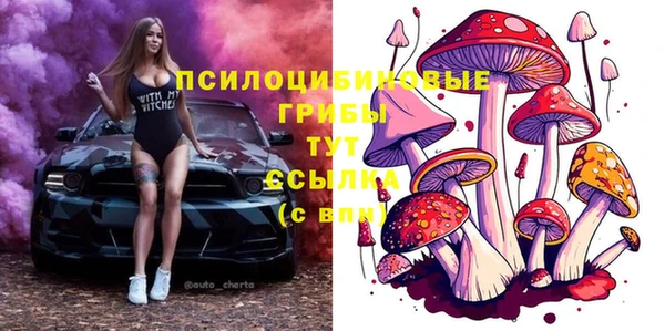 мяу мяу мука Алзамай
