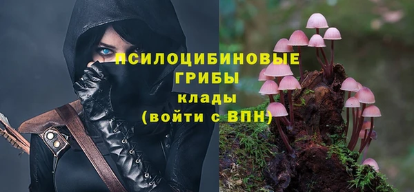 мяу мяу мука Алзамай