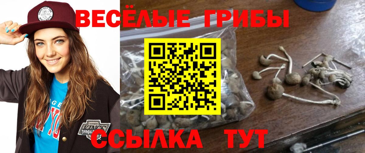 Аргун  Галлюциногенные грибы ЛСД  купить   Галлюциногенные грибы Psilocybine cubensis  Вход с VPN 
