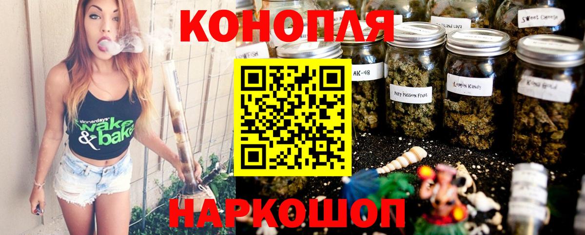 Конопля тримм  Канабис MAZAR  Вход с VPN  Аргун 